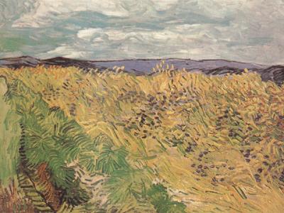 Vincent Van Gogh Whear Field with Cornflowers (nn04) oil painting image